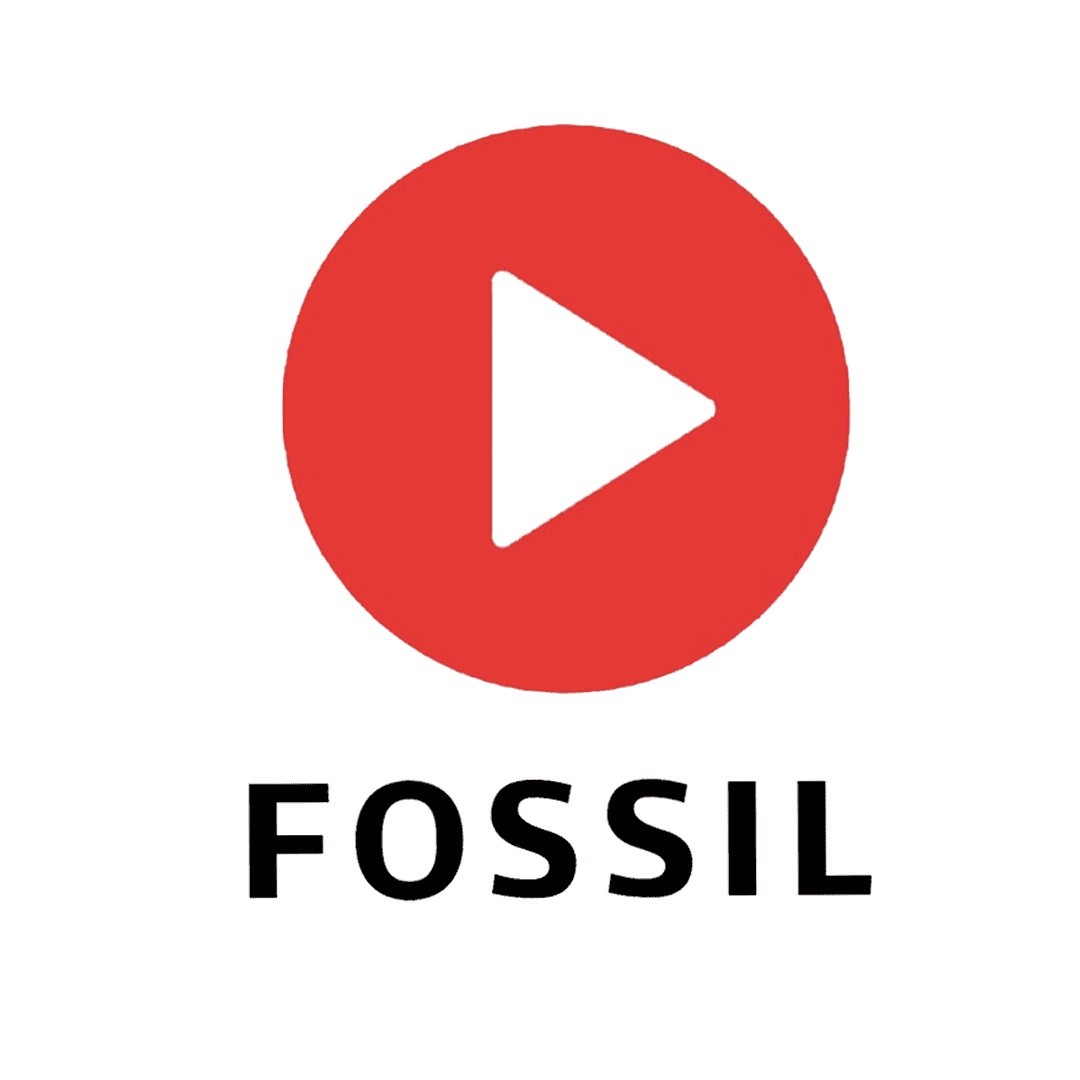 Fossil Interview